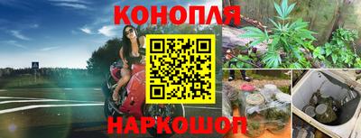 твердый Будённовск