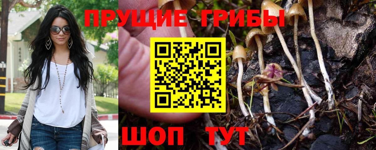 Черногорск  Галлюциногенные грибы Magic Shrooms  Вход с VPN 
