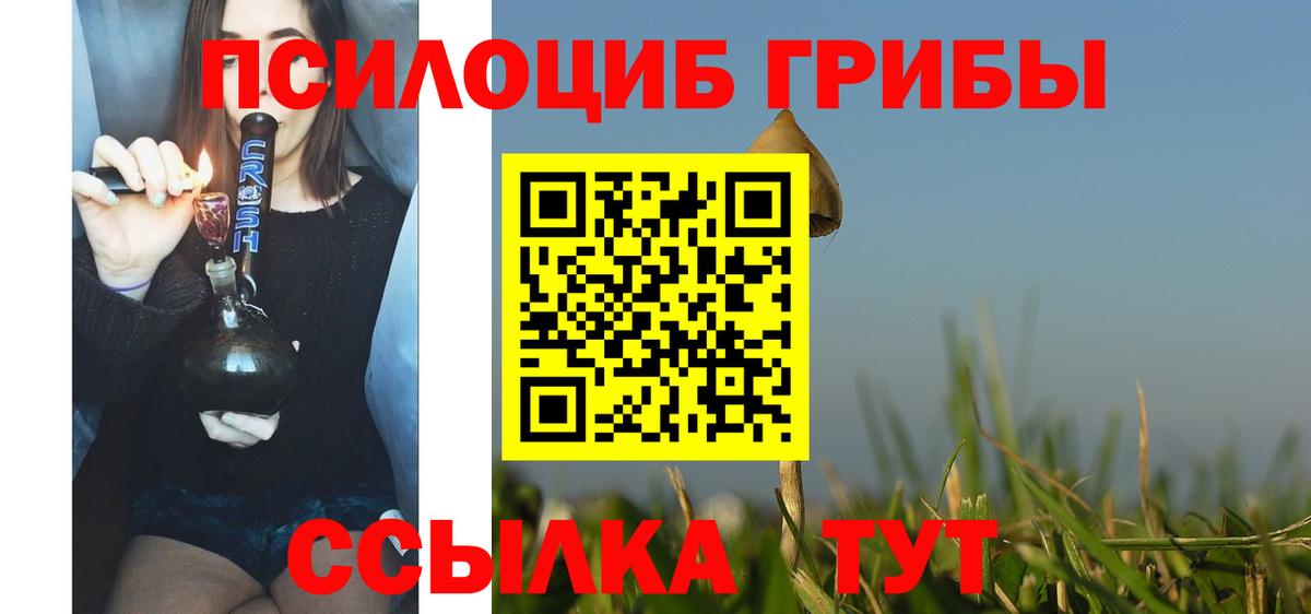 Галлюциногенные грибы Psilocybe Черногорск